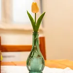 Desideri Di Puglia Apartment *